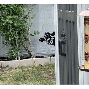 Peeping Cow Metal Art Farm Garden Decor Garden Fence Decoration